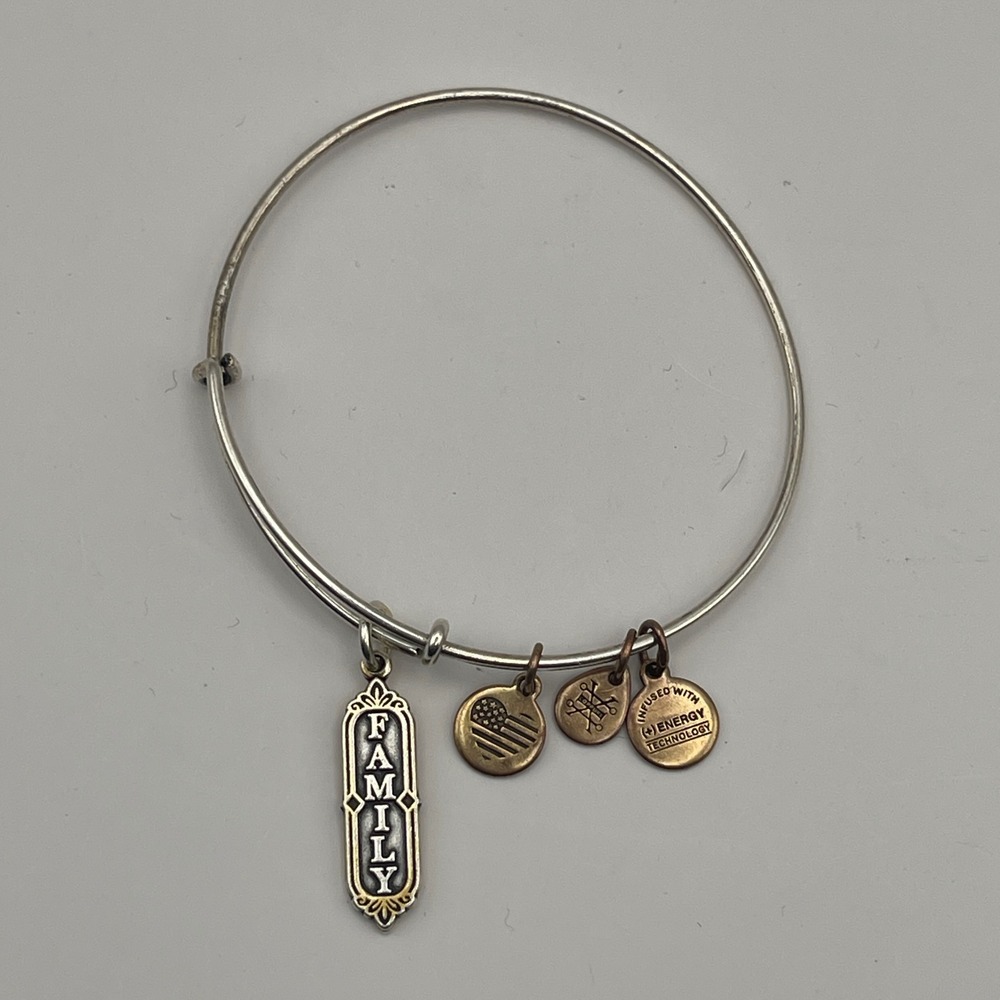Alex and Ani Family Charm‎ Bangle Bracelet Expandable Silver Tone USA